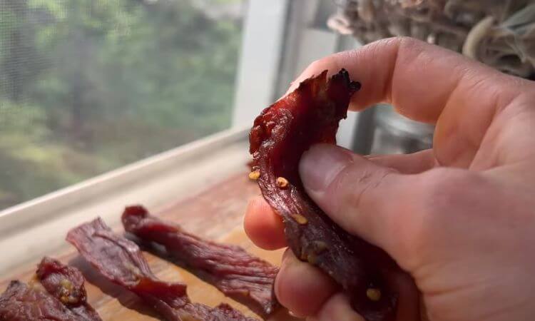 how many calories in homemade beef jerky